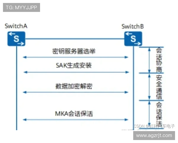 恒峰国际ag：评测平台安全稳定性与作弊防范措施的有效性